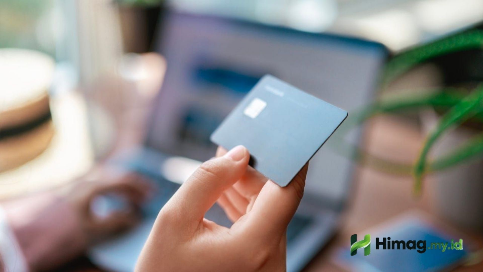 Credit Card Interest